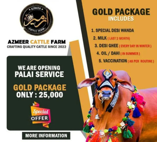 azmeer-cattle-farm-palai-service-an-for-sale-big-0