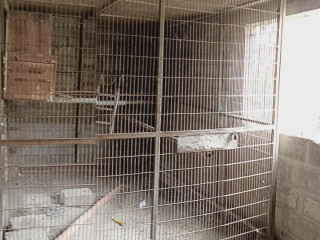 Macaw parrot cage for sale