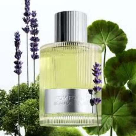 tom-ford-beau-de-jour-100ml-without-box-original-big-0