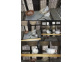 daimond-pied-dove-for-sale-in-trio-set-small-0