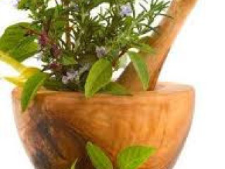 Herbal and ayurvedic medicine