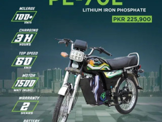 Pakzon Electric Bike PE-70L 2024