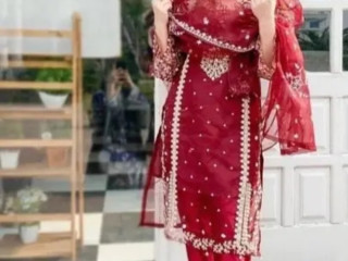 3 pcs Woman’s Stitched Organza Embroidered Suit For Sale